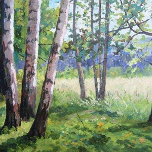 Этюд с берёзами,  х.м. 40х50,